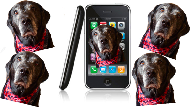 Image: Alex Cranz/Gizmodo